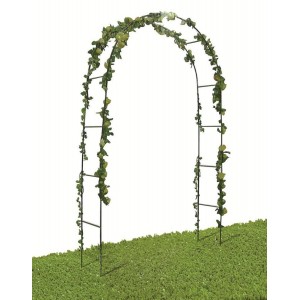 ARCO TRIONFO IN FERRO X RAMPICANTI 240X140X38