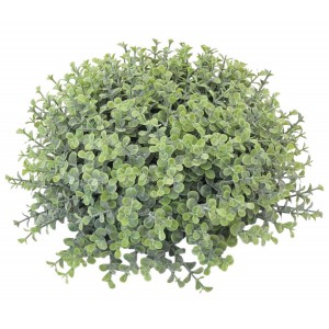 SIEPE BUXUS CADENTE CM.30 MEZZA SFERA