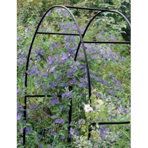 ARCO TRIONFO IN FERRO X RAMPICANTI 240X140X38