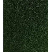 ZERBINO PASSATOIA ESTRO SPALMATO VERDE H. 100 H.100 ZERBINO PASSATOIA ESTRO SPALMATO VERDE H. 100 H.100